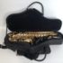 Altsaxofon Forestone Gold Lackered #F574057