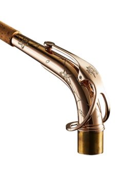 nacke altsaxofon Forestone DCTV PG