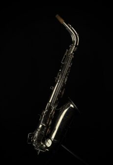 Grymt Selmer-familjepaket – fin proveniens (Håkan & Fredrik Ljungqvist)